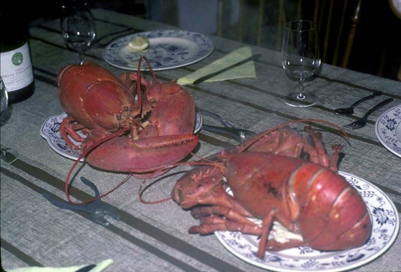 ../Images/Lobsters at Cape Cod ca 79.jpg